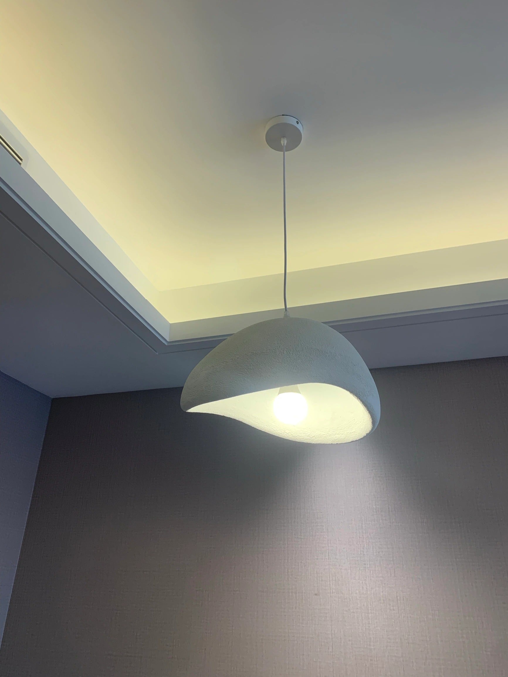 Modern Pendant Light with Organic Design