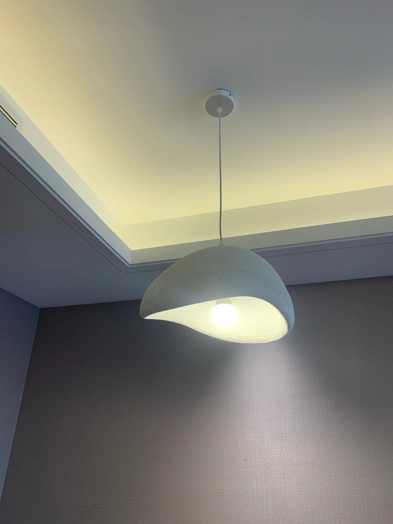Modern Pendant Light with Organic Design