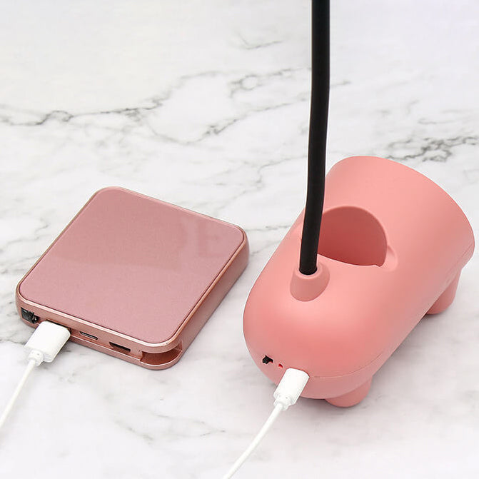 LED Desk Lamp with Flexible Arm and Storage – USB Rechargeable