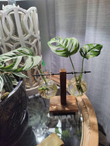 Liam S.