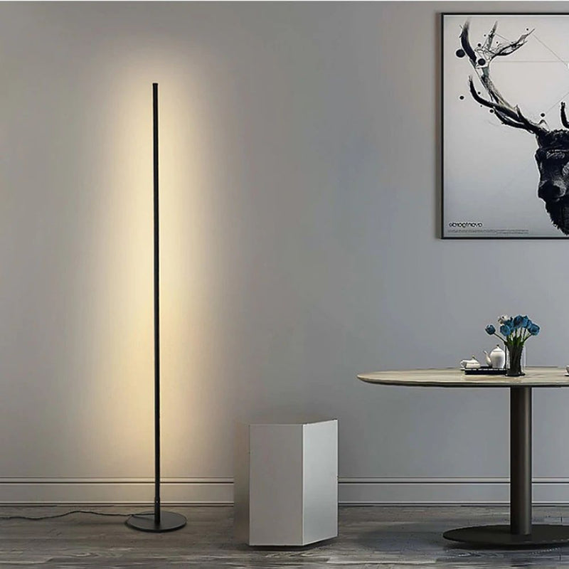 Modern Minimalist LED Floor Lamp